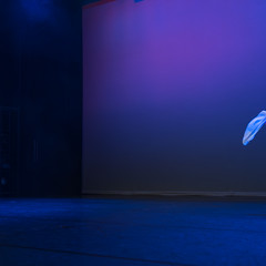 Showcase-11.jpg